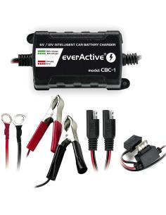 Ładowarka prostownik do akumulatorów 6V/12V everActive 14V/1A CBC-1