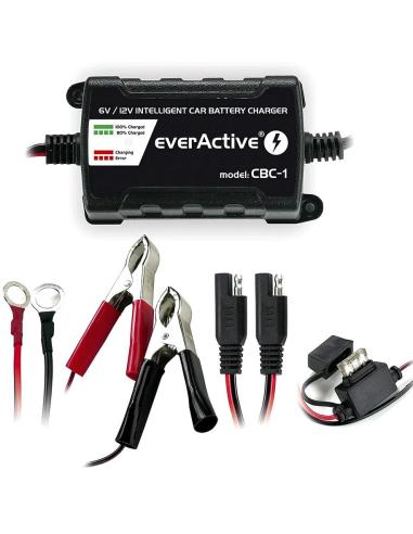 Ładowarka prostownik do akumulatorów 6V/12V everActive 14V/1A CBC-1