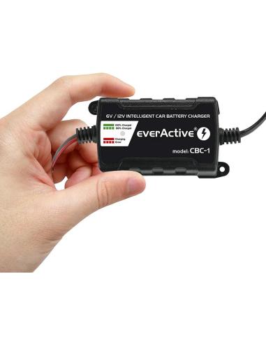 Ładowarka prostownik do akumulatorów 6V/12V everActive 14V/1A CBC-1
