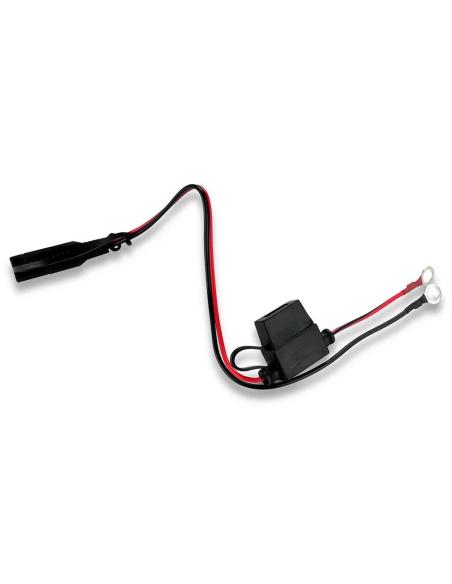 Ładowarka prostownik do akumulatorów 6V/12V everActive 14V/1A CBC-1