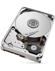Dysk HDD Seagate SkyHawk AI ST16000VE004 16TB 2