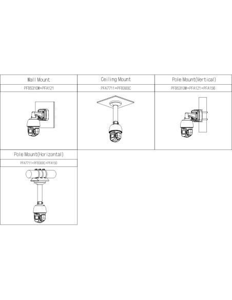 Kamera IP Dahua SD3D216NB-GNY
