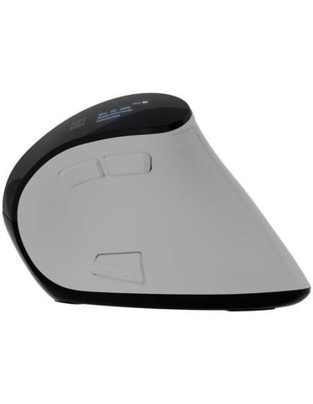Mysz Natec Euphonie PRO biały