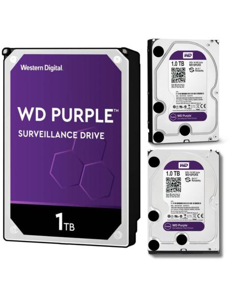 DYSK WD PURPLE 1TB WD10PURZ