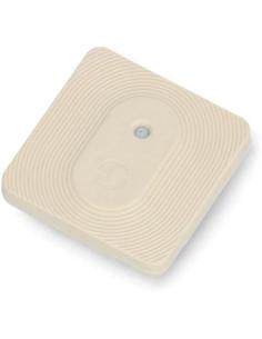 Shelly Blu H&T Ivory ZB