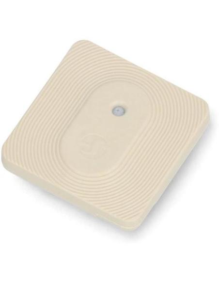 Shelly Blu H&T Ivory ZB