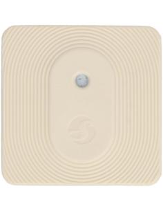 Shelly Blu H&T Ivory ZB 2